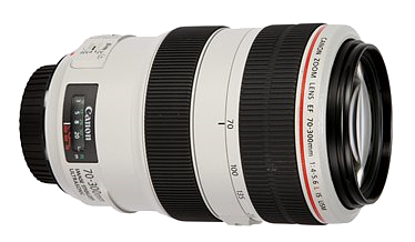 объектив Canon EF 70-300mm f/4-5.6L IS USM